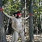 Nackt im Wald